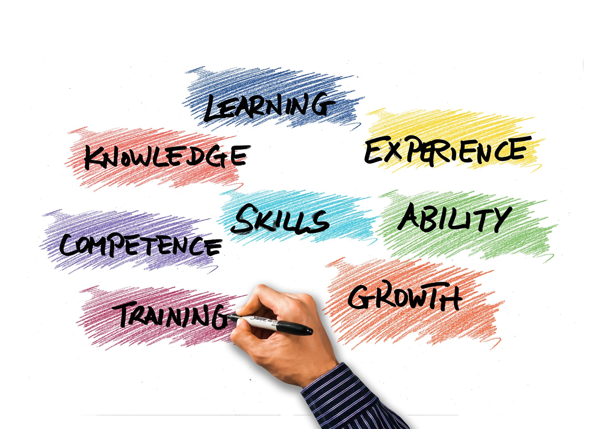 10 competências para o profissional do futuro – MentorApp